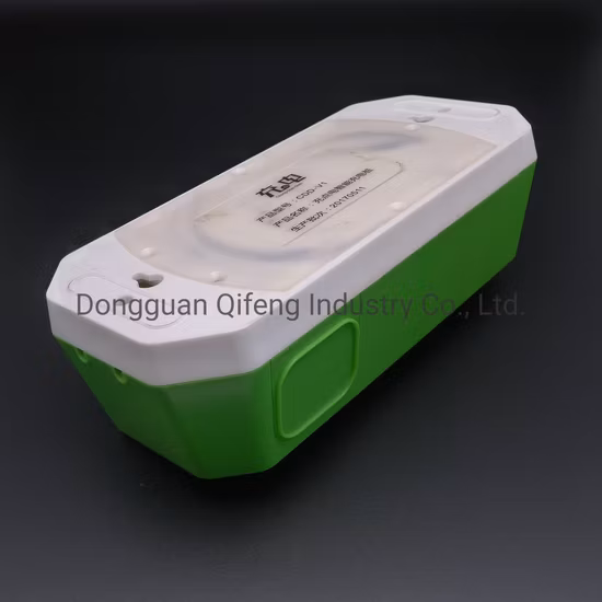 Plastic Injection Mold and Moulding