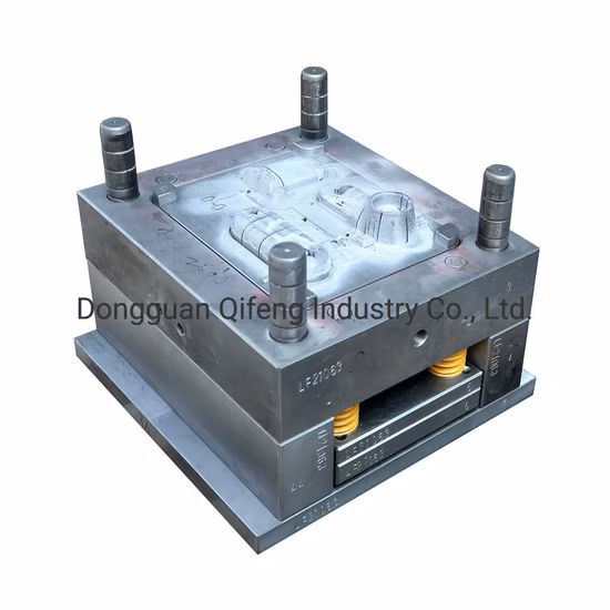 Plastic Injection Mold and Moulding
